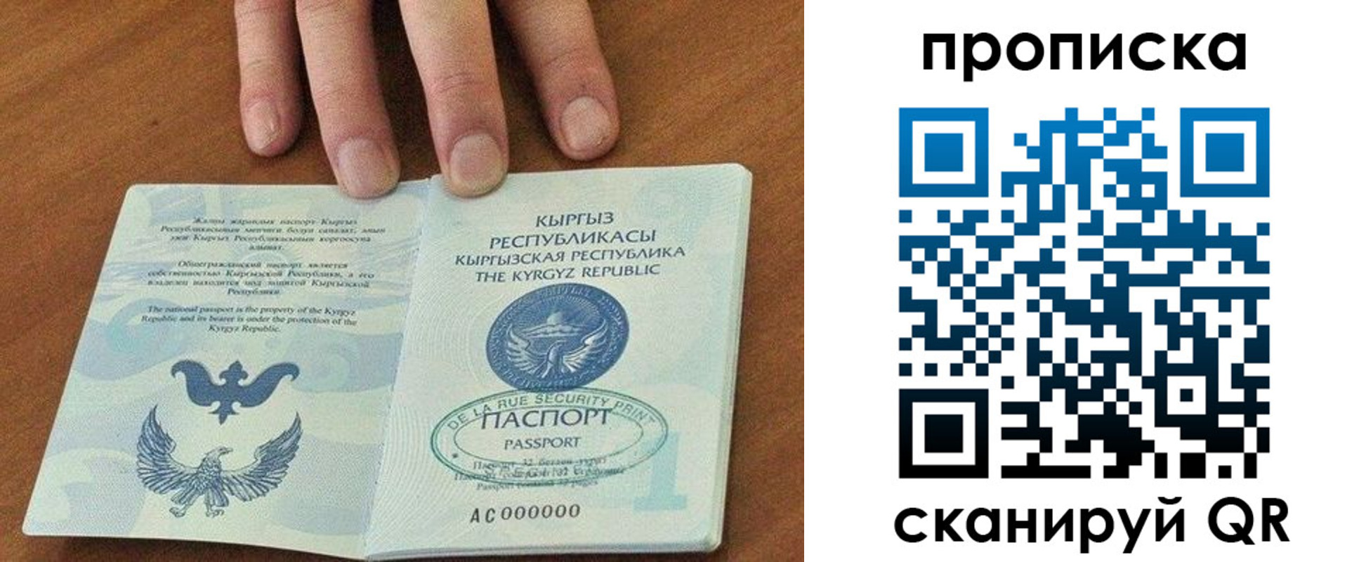 прописка гарантия в Лисках